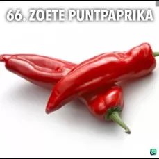 66.a Zoete puntpaprika rood -  - Foto's bloemen, planten en kruiden